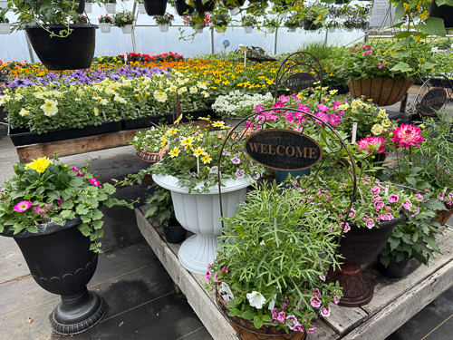 BackRoad Greenhouse