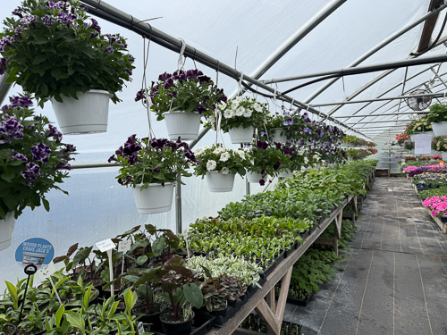 BackRoad Greenhouse