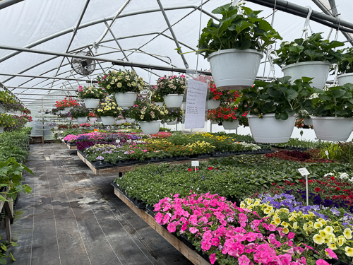BackRoad Greenhouse