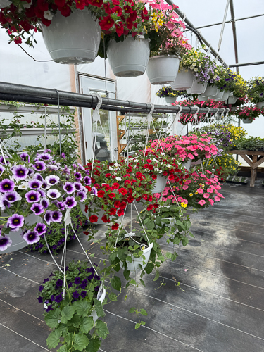 BackRoad Greenhouse