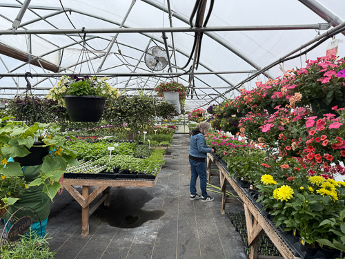 BackRoad Greenhouse