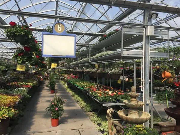 BackRoad Greenhouse
